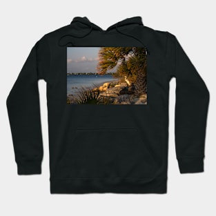 Egret at the beach Hoodie